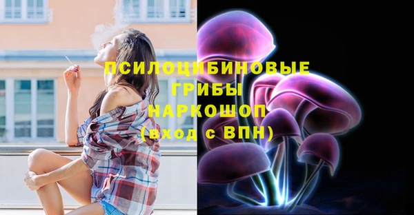 меф Дмитриев