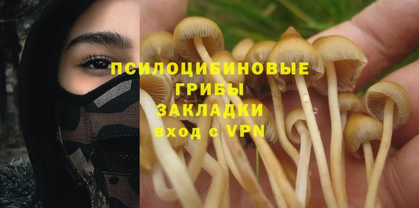 индика Сафоново