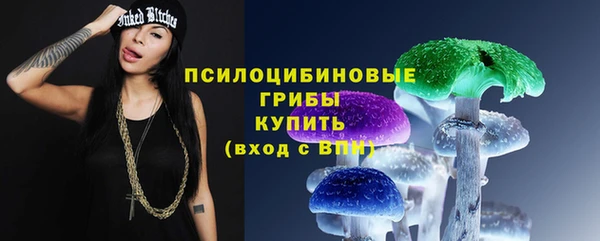 прущая мука Дмитровск