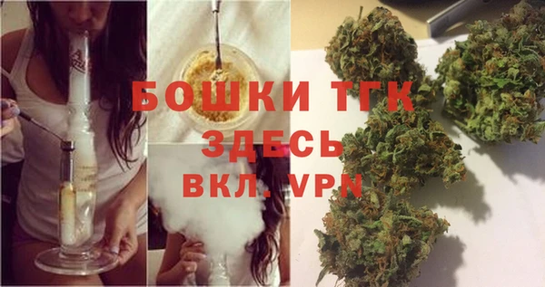 меф Дмитриев