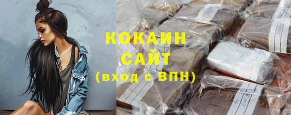 меф Дмитриев